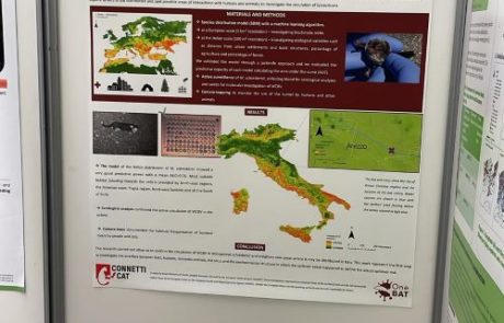 Poster Presentation