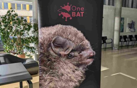 OneBAT_Poster_Showcased