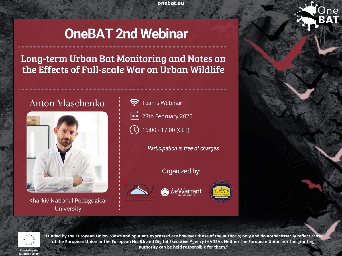 OneBAT - 2nd Webinar