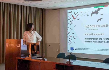 Abstracts presentation