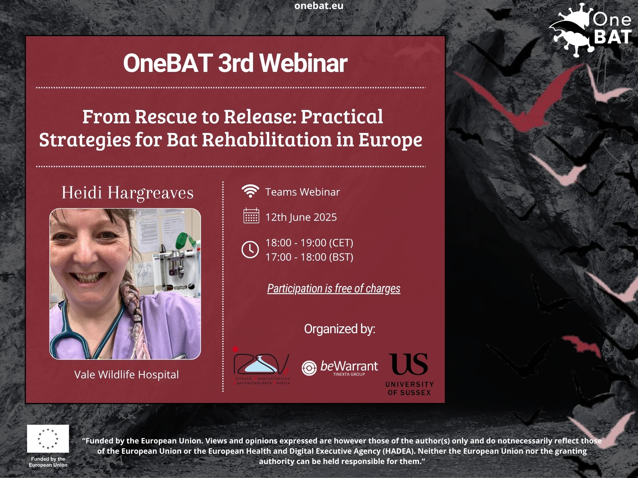 OneBAT 3rd Webinar