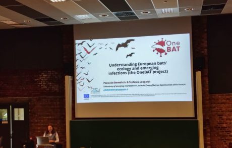 Paola de Benedictis presenting OneBAT