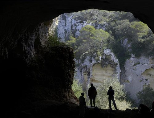 The Words of OneBAT: A Short Guide to Understanding the Future of Global Health