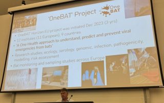 Dr. Simon Scott lectures at University of Pecs