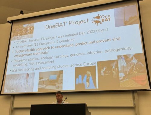 Dr Simon Scott presents OneBAT project at the University of Pécs