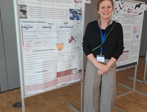 OneBAT presented at PREPARE-EU 2026 in Braunschweig