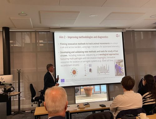 OneBAT Presented at the 10th Pseudotyped Virus Network Meeting