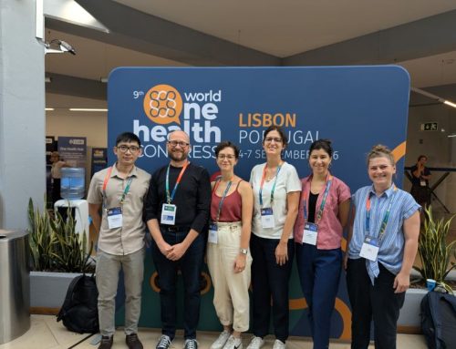 OneBAT at WOHC 2026